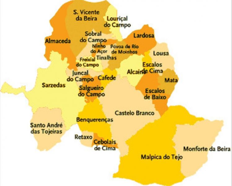 legislativas25-chega-venceu-em-4-freguesias-do-ps-no-concelho-de-castelo-branco