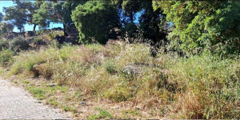 Castelo Branco: Residente na Qta Pires Marques denuncia problemas urbanos sem resposta por parte da autarquia