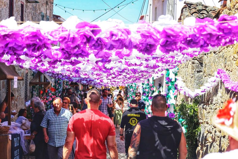 idanha-a-nova-flores-de-aldeia-de-santa-margarida-deslumbram-visitantes
