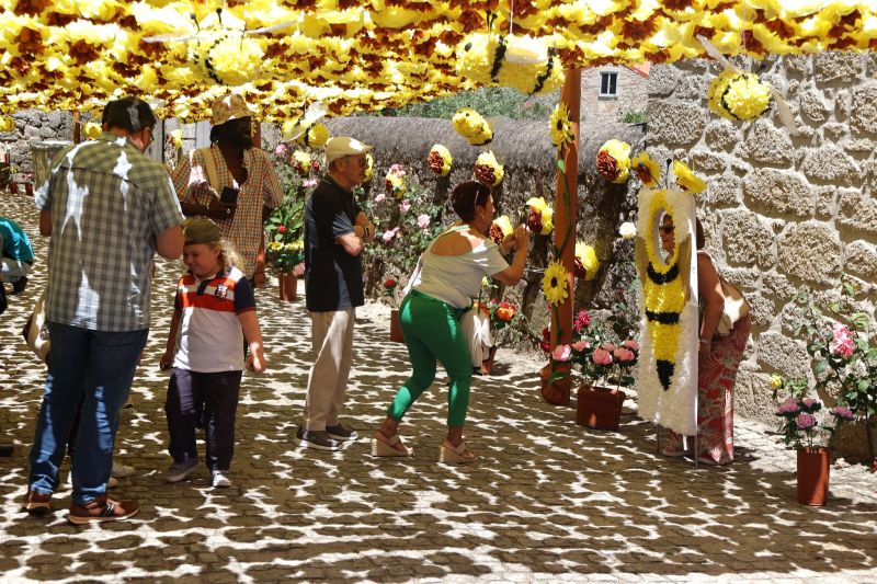 Idanha-a-Nova: Flores de Aldeia de Santa Margarida deslumbram visitantes
