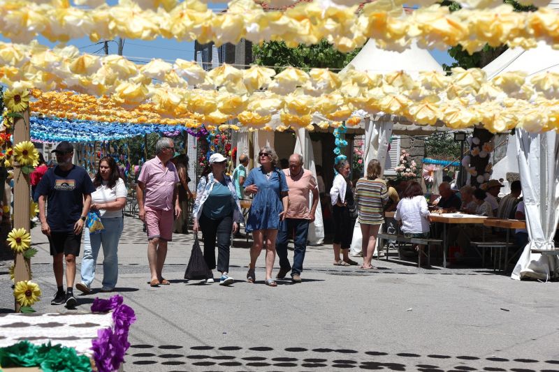 Idanha-a-Nova: Flores de Aldeia de Santa Margarida deslumbram visitantes