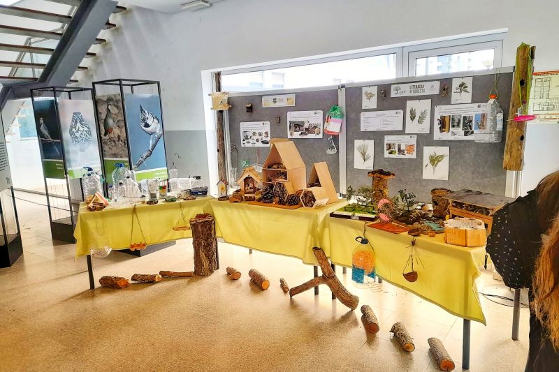 castelo-branco-exposiyyo-sobre-a-floresta-local-sensibiliza-alunos-e-comunidade