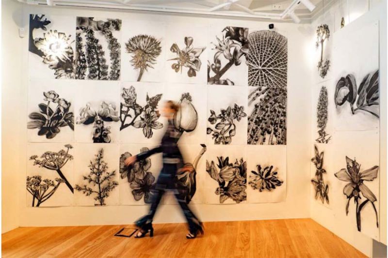 castelo-branco-galeria-castra-leuca-expye-serendipity-aty-26-de-julho----