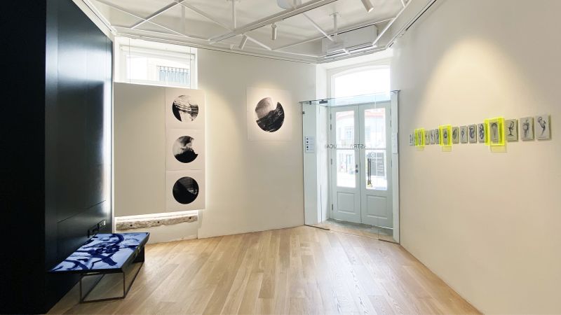Castelo Branco: Galeria Castra Leuca expõe 