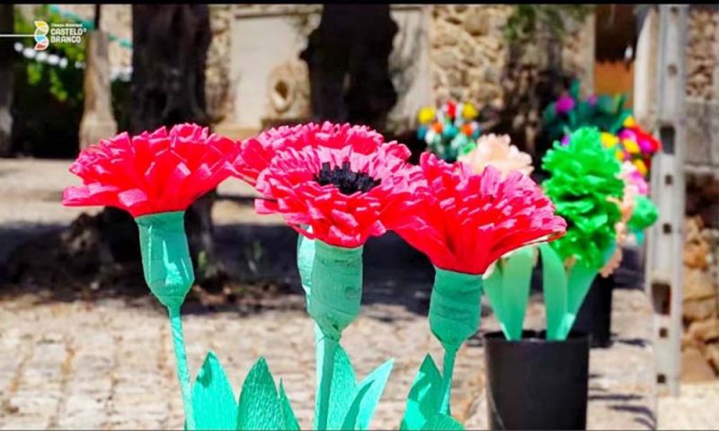 Castelo Branco: Vale da Torre promove 4ª edição da Festa da Flor de 11 a 13 de Julho