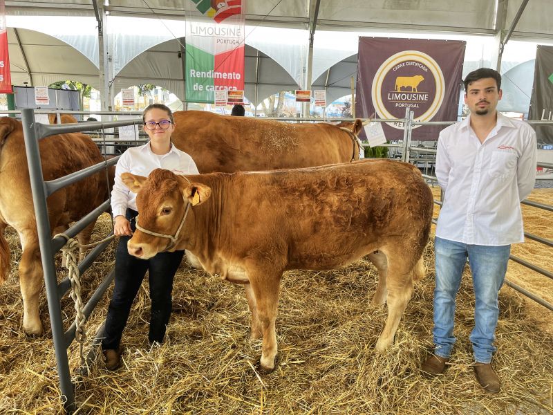 Castelo Branco: Escola Agrária destaca-se na IV Feira de Inovação Agrícola do Fundão