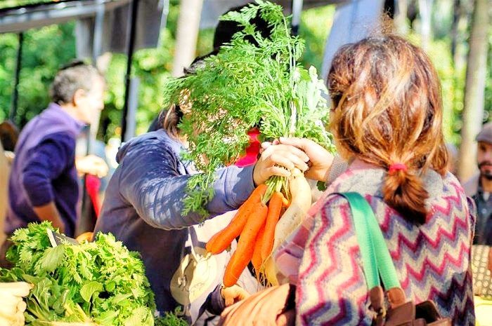Sertã: Mercado Municipal recebe Ecomercado a 3 de Agosto