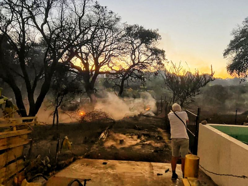 APAAE apoia o resgate, tratamento e alimentação de animais feridos no incêndio de Penamacor