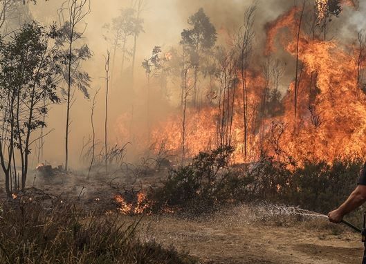 incyndios-consumiram-3.000-hectares-em-penamacor-e-idanha-a-nova