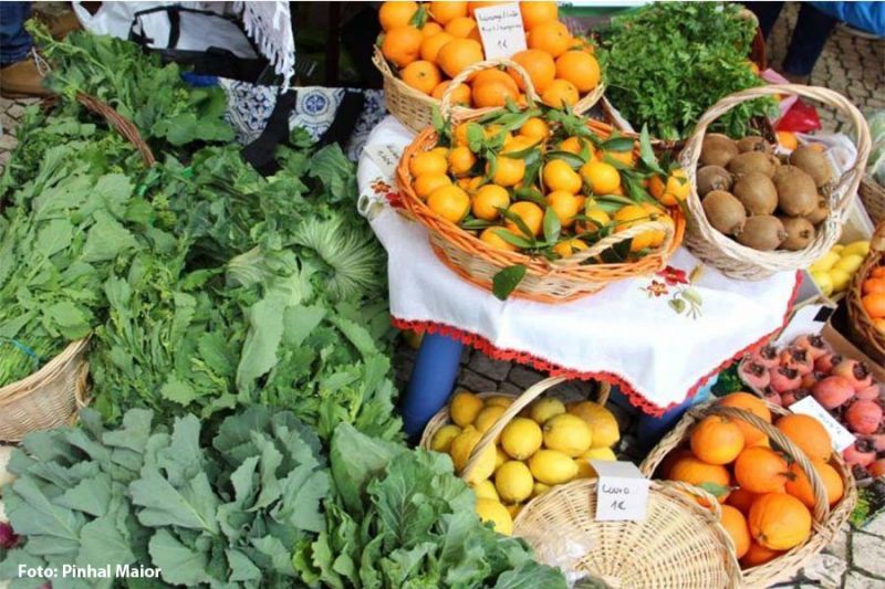 Mercado “Quintais nas Praças do Pinhal” regressa a Vila de Rei dia 10 de Agosto