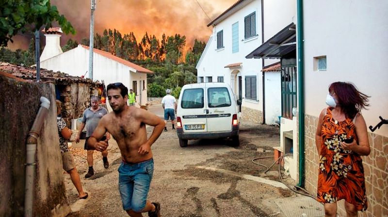 Incêndios: Município do Fundão disponibiliza apoio social e psicológico
 