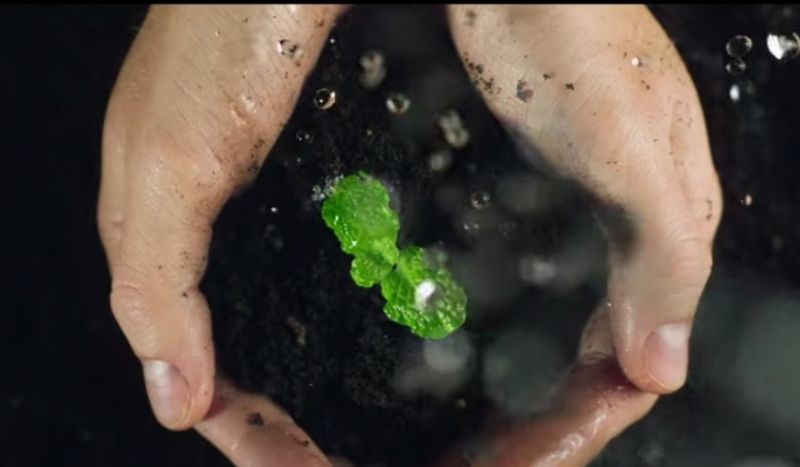 turismo-centro-de-portugal-lanya-campanha-de-esperanya-cem-verde-vivoc