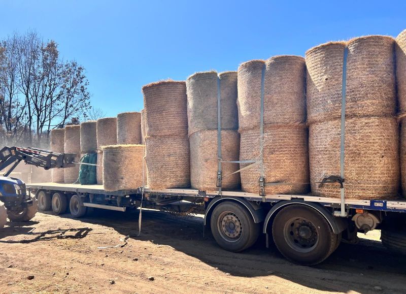castelo-branco-cap-chega-aos-agricultores-do-distrito-afetadalos-pelos-incyndios