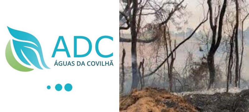 empresa-yeguas-da-covilhy-assume-despesa-com-yagua-gasta-no-combate-aos-incyndios