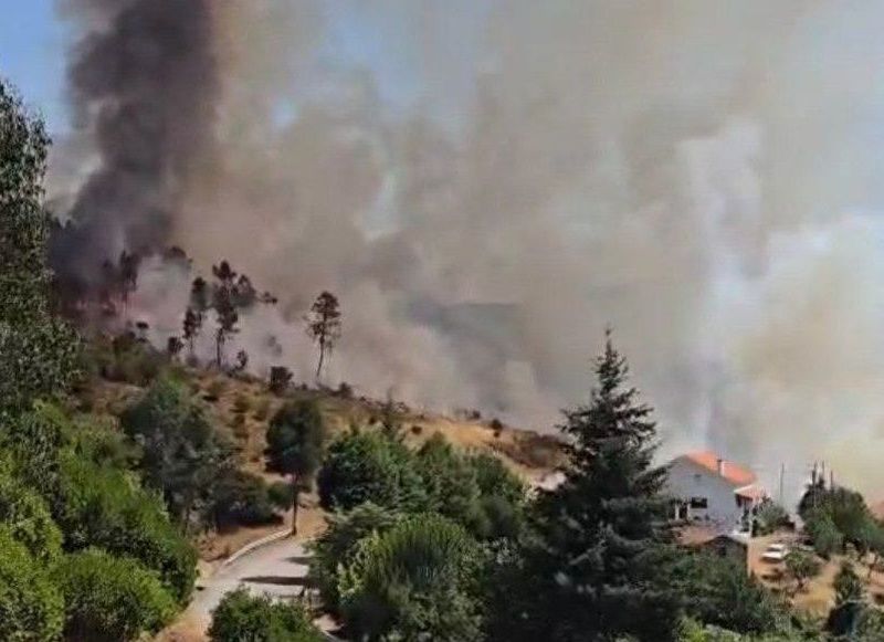 covilhy-cymara-isenta-taxas-urbanysticas-nas-zonas-afetadas-pelos-incyndios-durante-5-anos