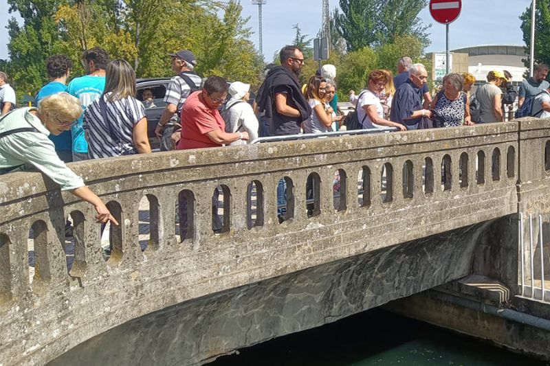 Move Beiras ruma com cerca de 200 beirões à cidade templária de Tomar


