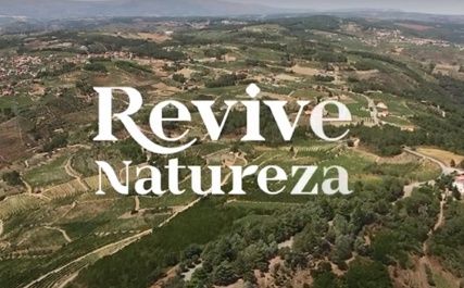 fundo-lanya-concurso-para-imyveis-devolutos-em-vila-velha-de-rodyo-e-vila-de-rei
