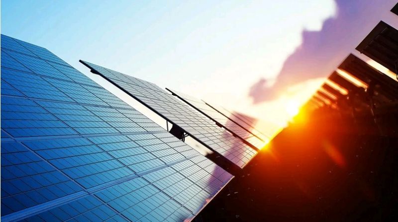 Lightsource BP investe 242 M€ em Central Solar nos concelhos de Castelo Branco e Idanha-a-Nova ao abater 464 azinheiras


