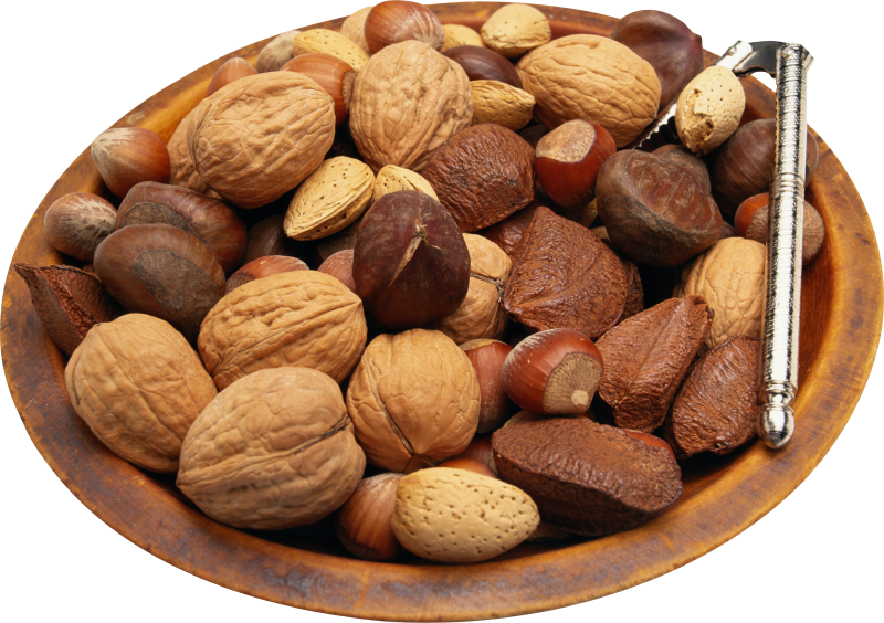 Sertã: Castanhas e Frutos secos em destaque no Mercado Produtos da Terra na edição de Outubro