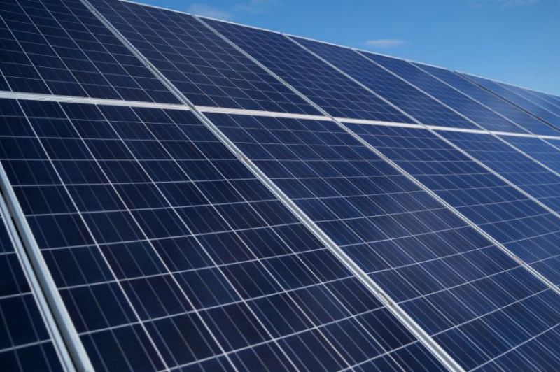 zero-defende-chumbo-da-central-fotovoltaica-da-beira-por-ameayar-biodiversidade-nos-concelhos-de-castelo-branco-e-idanha-a-nova