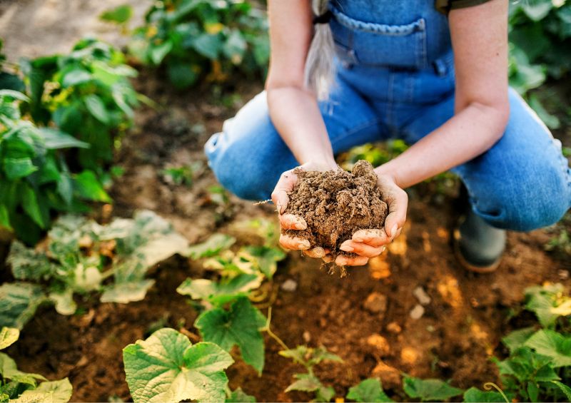 “Food4Sustainability” anuncia formação online dedicada à agricultura sustentável e regenerativa a partir de Idanha-a-Nova