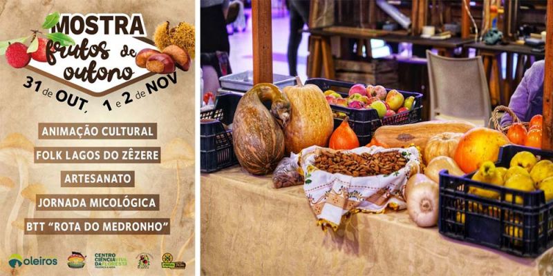 oleiros-mostra-de-frutos-de-outono-reforya-valor-econymico-e-cultural-do-concelho-durante-3-dias