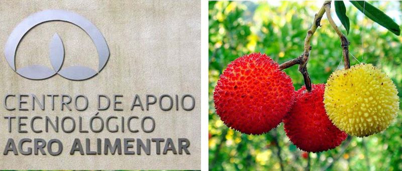 Agro Alimentar de Castelo Branco integra projeto para valorização do medronho