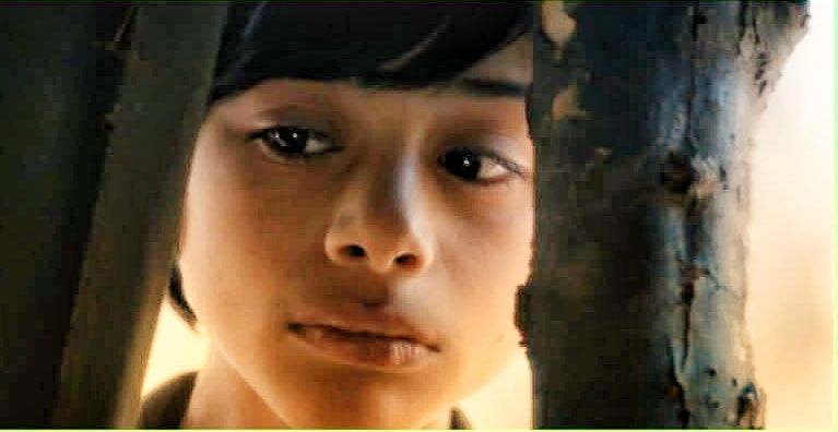 castelo-branco-participa-no-cfestival-palestine-cinema-days-around-the-world