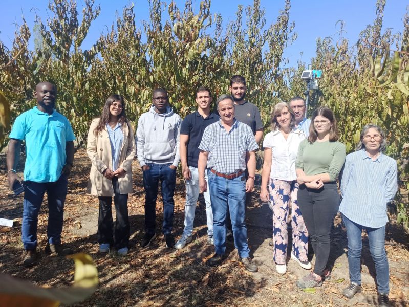 castelo-branco-pomar-da-escola-agryaria-tem-sonda-capacitiva-de-humidade-