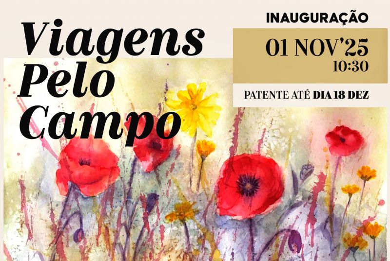 proenya-a-nova-associayyo-das-corgas-promove-atividades-culturais-a-1-de-novembro