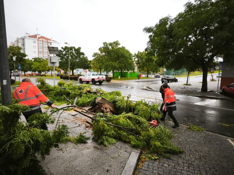 mau-tempo-proteyyo-civil-de-castelo-branco--registou-28-ocorryncias-em-duas-horas-------