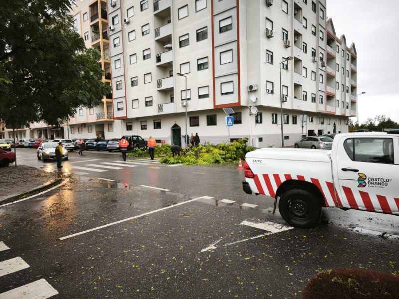 Mau Tempo: Proteção Civil de Castelo Branco  registou 28 ocorrências em duas horas 


