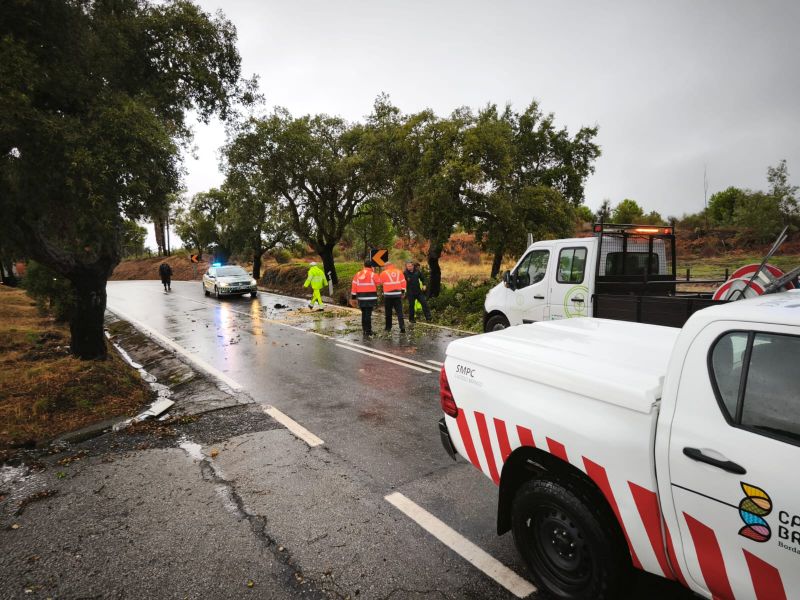 Mau Tempo: Proteção Civil de Castelo Branco  registou 28 ocorrências em duas horas 


