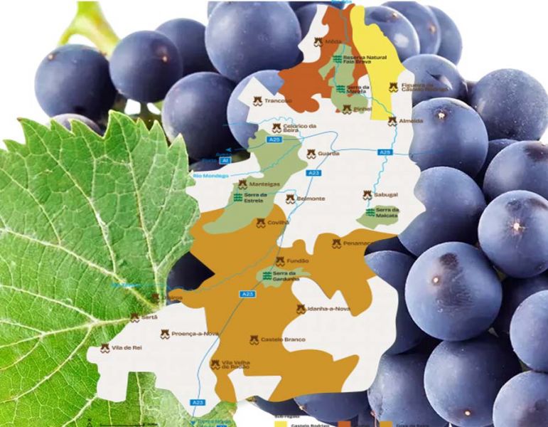 vinhos-e-sabores-da-beira-interior-em-destaque-de-21-a-23-de-novembro-em-pinhel-