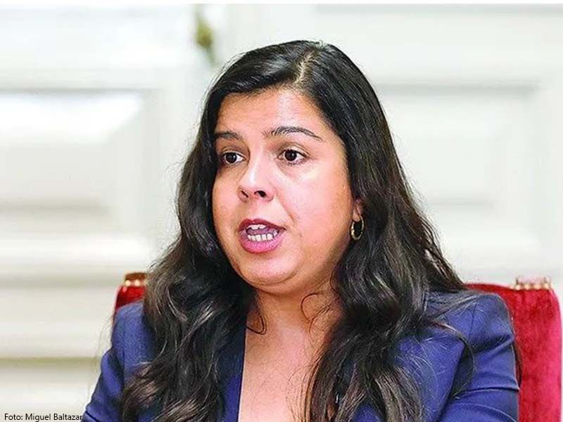 castelo-branco-pan-quer-suspender-fotovoltaica-sophia-do-oryamento-de-estado-2026