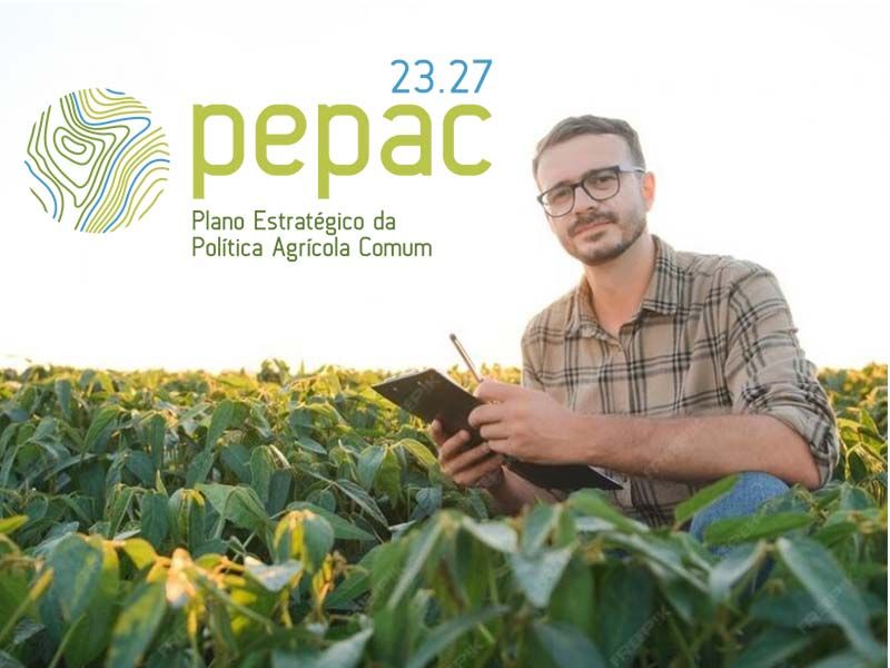 Abertas candidaturas para criação e modernização de unidades agroindustriais até 30 de Dezembro 2025