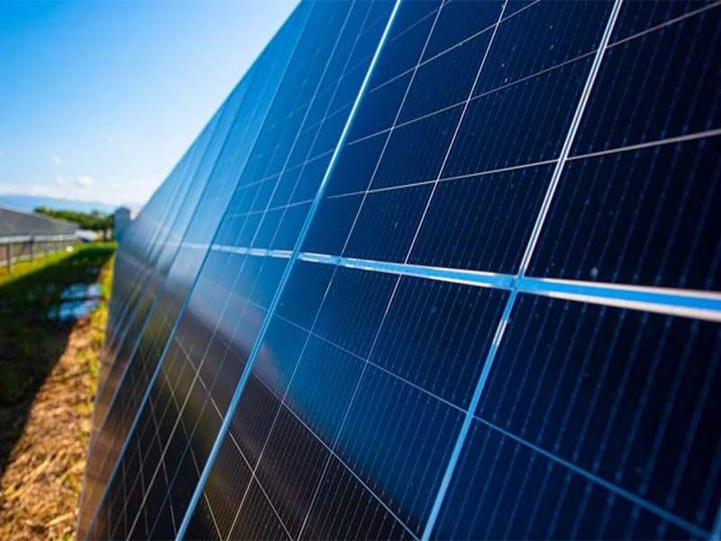 Juventude Socialista de Castelo Branco contra Central Solar Fotovoltaica “Sophia”