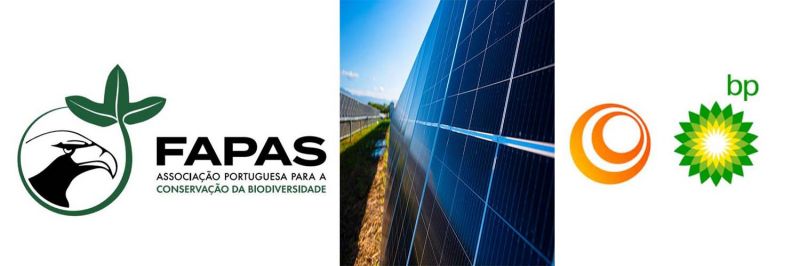 conservayyo-da-biodiversidade-alerta-para-impactos-da-central-solar-sophia