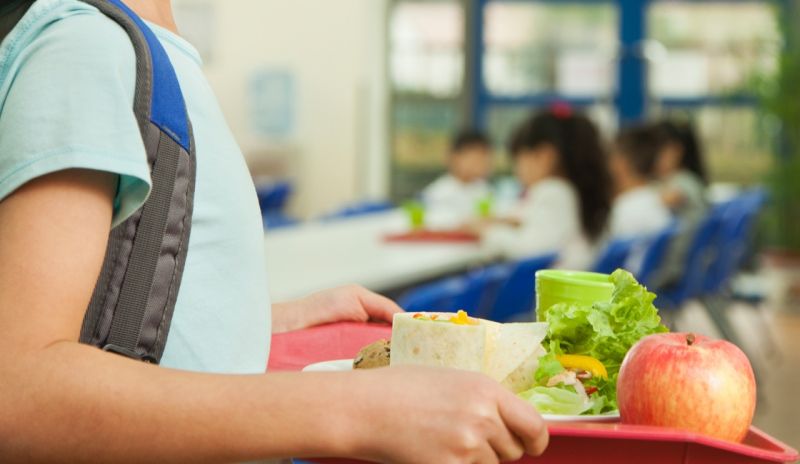 oleiros-cymara-municipal-assegura-refeiyyes-gryatis-aos-alunos-do-agrupamento-de-escolas