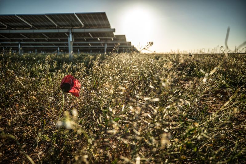 lightsource-bp-anuncia-consulta-pyblica-do-estudo-pryvio-do-projeto-solar-csophiac-concluyda--