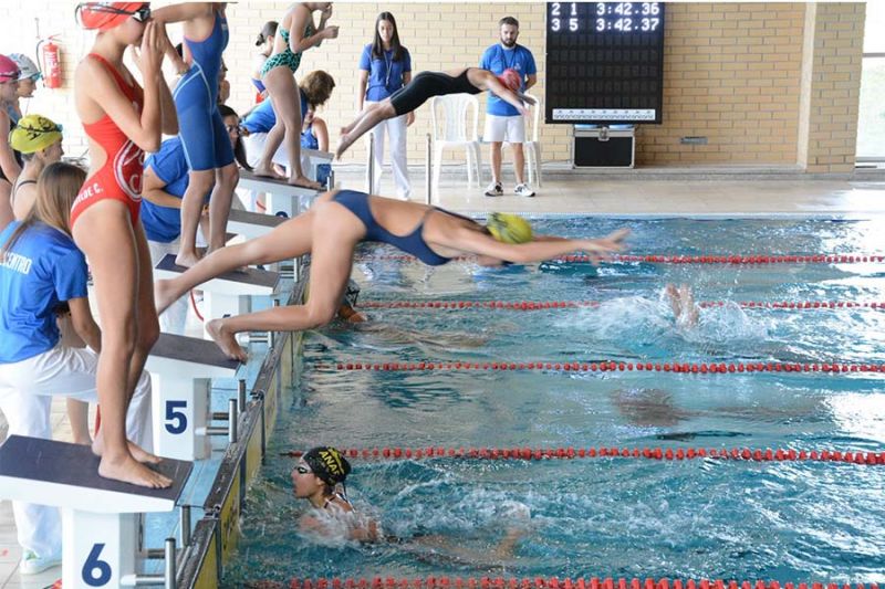 Castelo Branco: ANAR em destaque no Campeonato Regional de Absolutos de Natação 