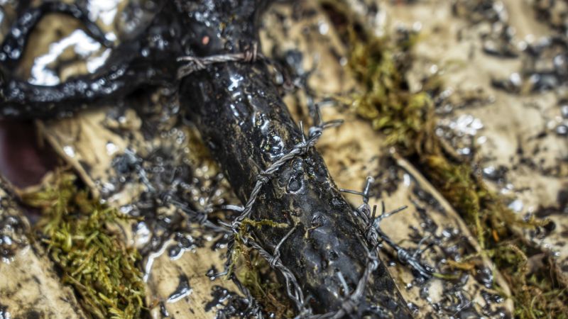 Castelo Branco: FÃ¡brica da Criatividade expÃµe âMundos Imperfeitosâ atÃ© 30 de Dezembro