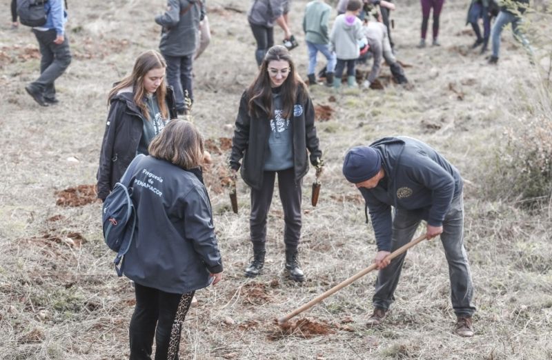 penamacor-malta-do-ano-plantou-sobreiros-em-mais-um-dia-da-vila-madeiro